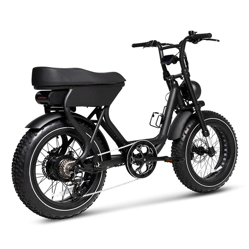V20 Adult Electric Bike 1000W 20 Inch Dirt Fat Tire