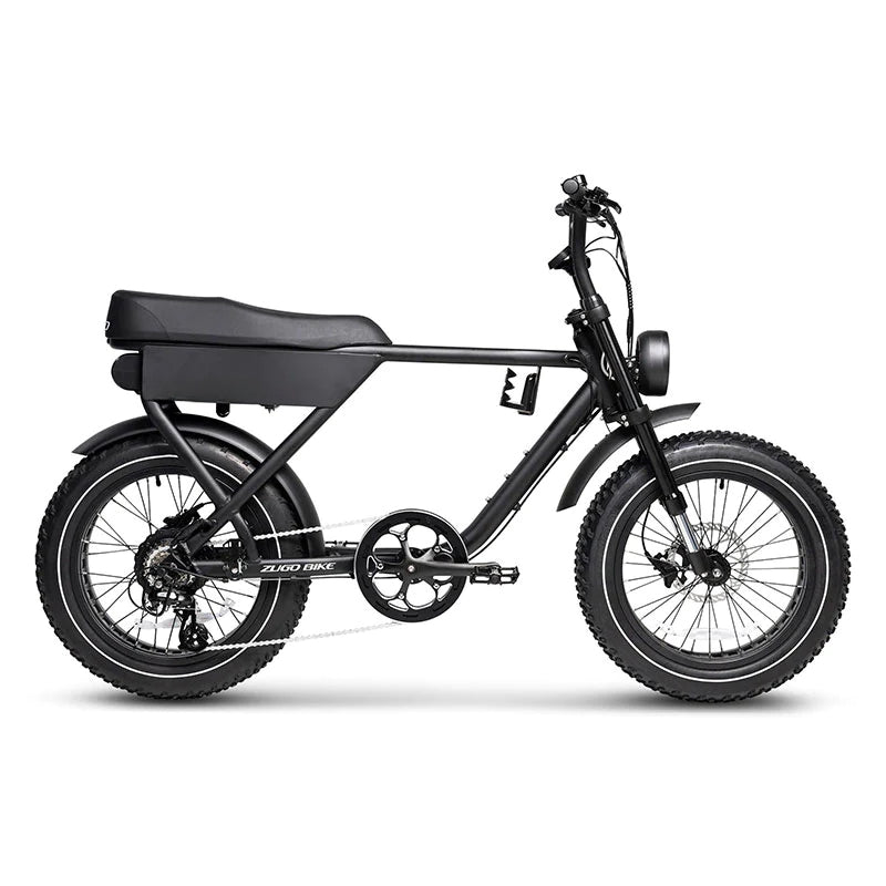 Aluminum Alloy Frame 48V Electric Bike 750W Electric Motor