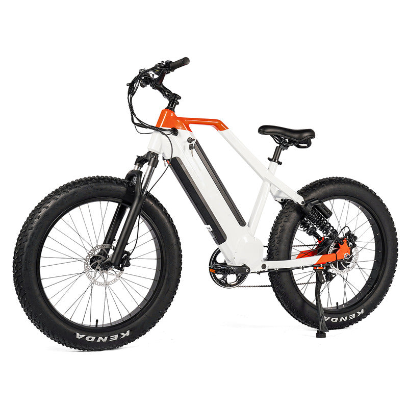48V 1000W Electric Mountain Fat Tire Bike for Adults With 26 Inch 250W Wheels