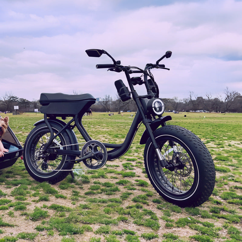 V20 Adult Electric Bike 1000W 20 Inch Dirt Fat Tire