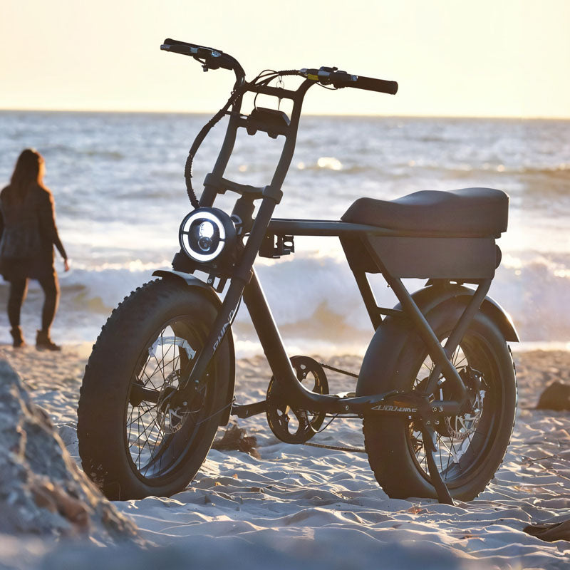 Aluminum Alloy Frame 48V Electric Bike 750W Electric Motor