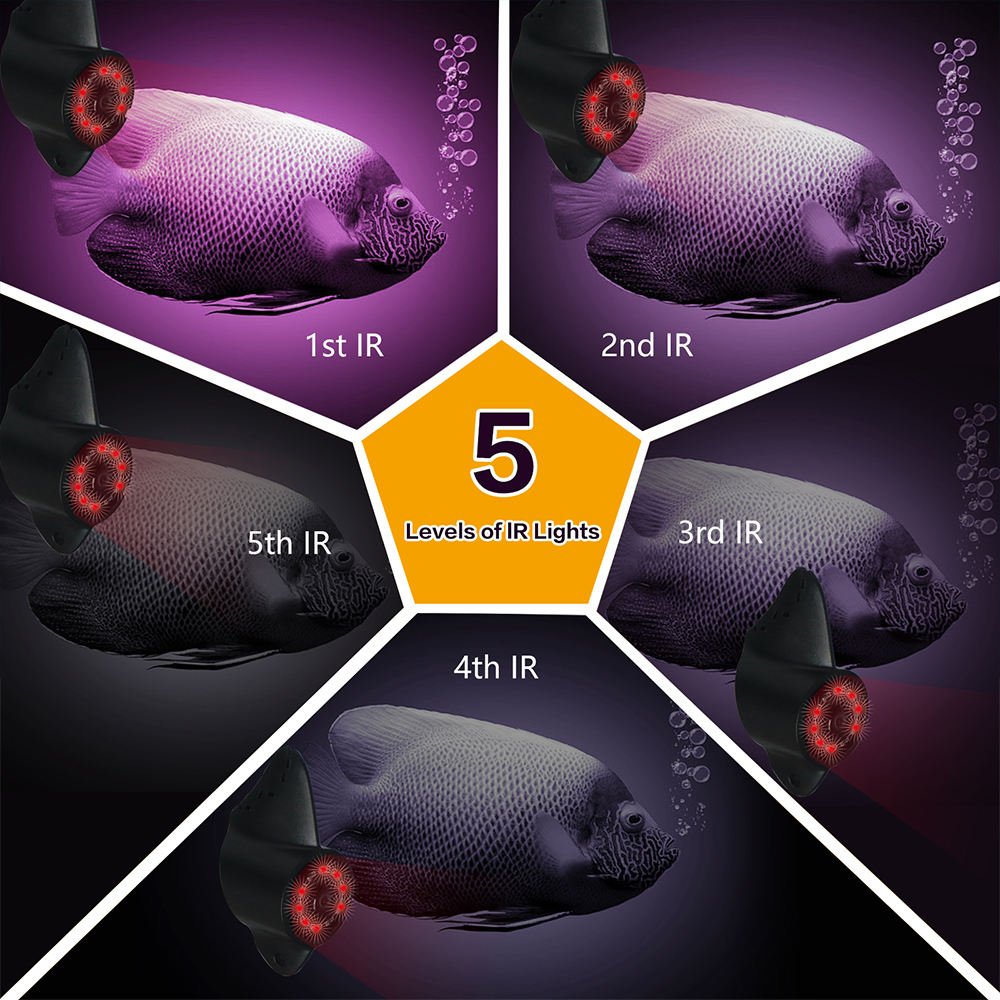 Underwater Fish Finder Video Camera with 7" Display