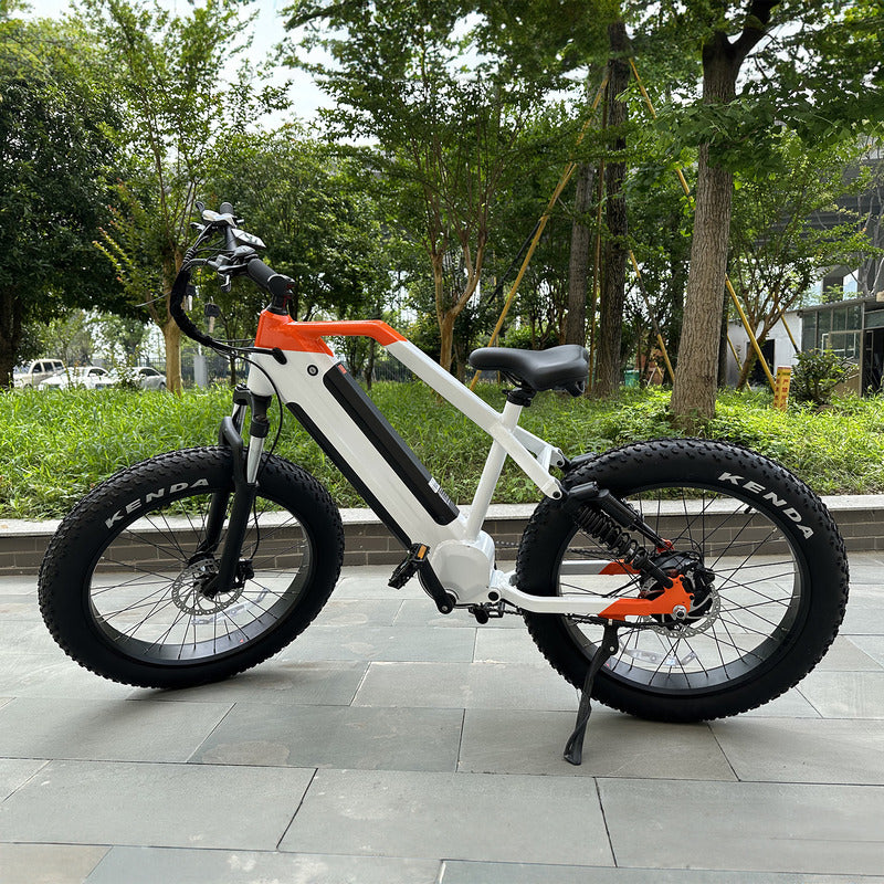 48V 1000W Electric Mountain Fat Tire Bike for Adults With 26 Inch 250W Wheels