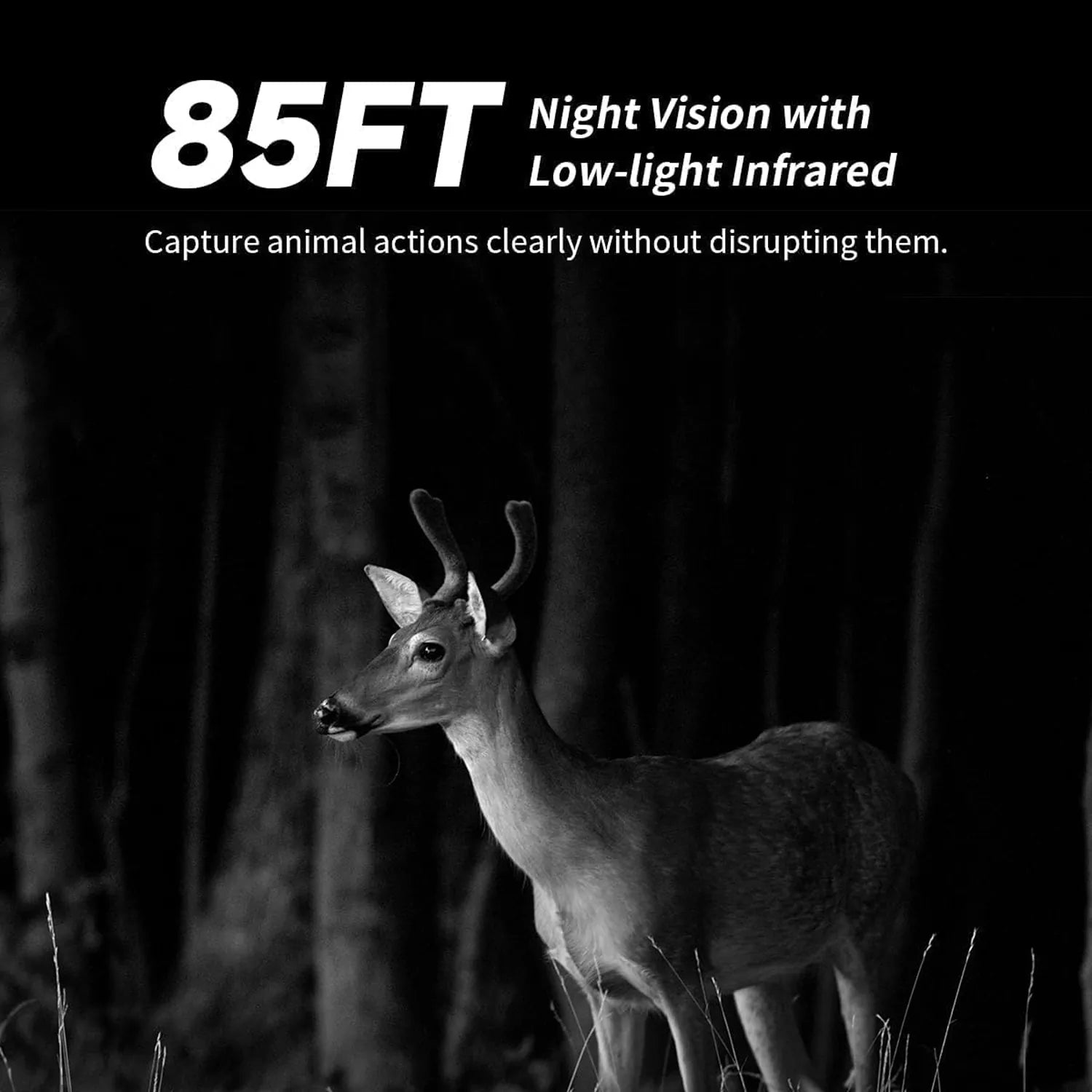 Cellular Trail Cameras with Live Streaming, Built-in 4G LTE SIM Card