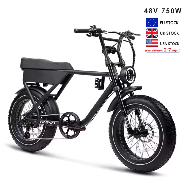 Aluminum Alloy Frame 48V Electric Bike 750W Electric Motor