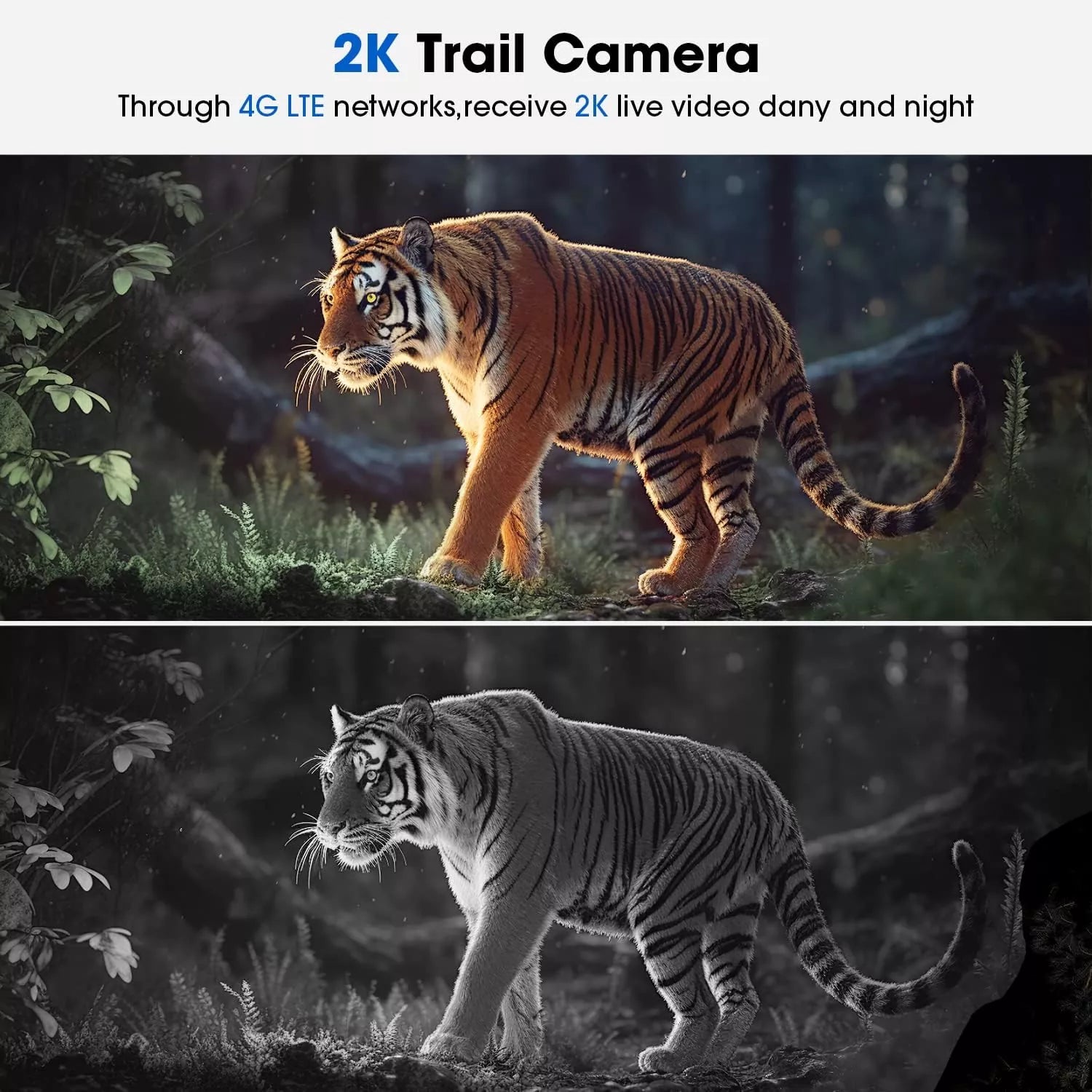 Cellular Trail Camera 4G LTE Wireless 2K Solar Powered Hunting Game Camera