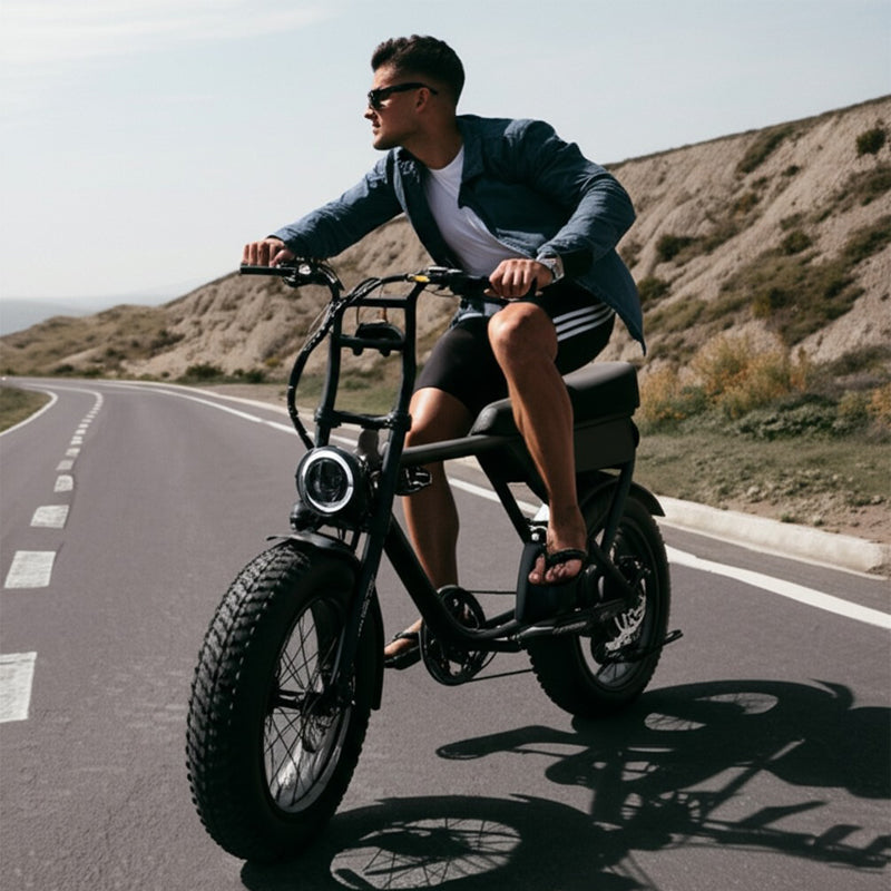 Aluminum Alloy Frame 48V Electric Bike 750W Electric Motor