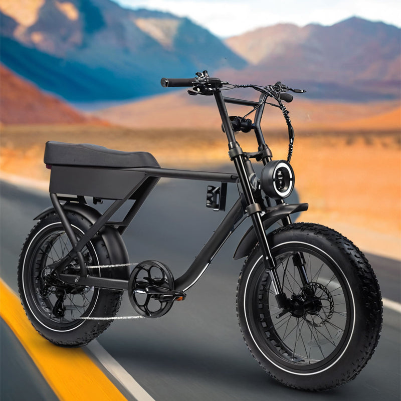 Aluminum Alloy Frame 48V Electric Bike 750W Electric Motor